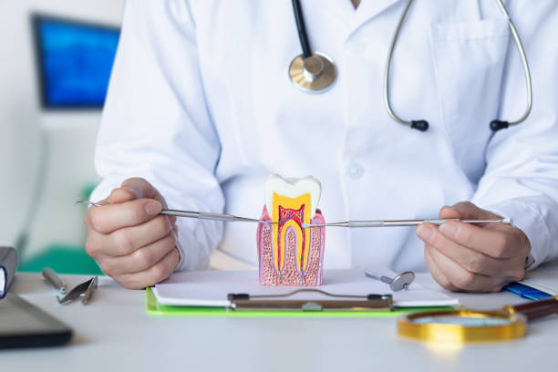 Best Emergency Tooth Extraction  in Parkwood, WA